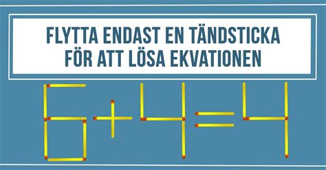  Dosinia! En Sällsynt Skaldjur Med En Fascinerande Förmåga Att Flytta Genom Sand